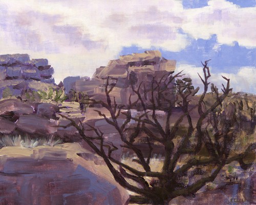 Rocks and Tree, Joshua Tree Area